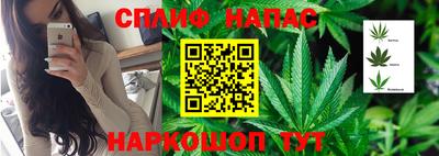 дмт Бузулук
