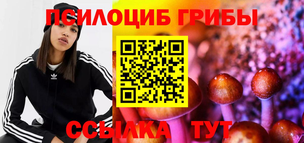 Галлюциногенные грибы мицелий  закладки  Псилоцибиновые грибы Psilocybine cubensis  Ревда  Вход с VPN 